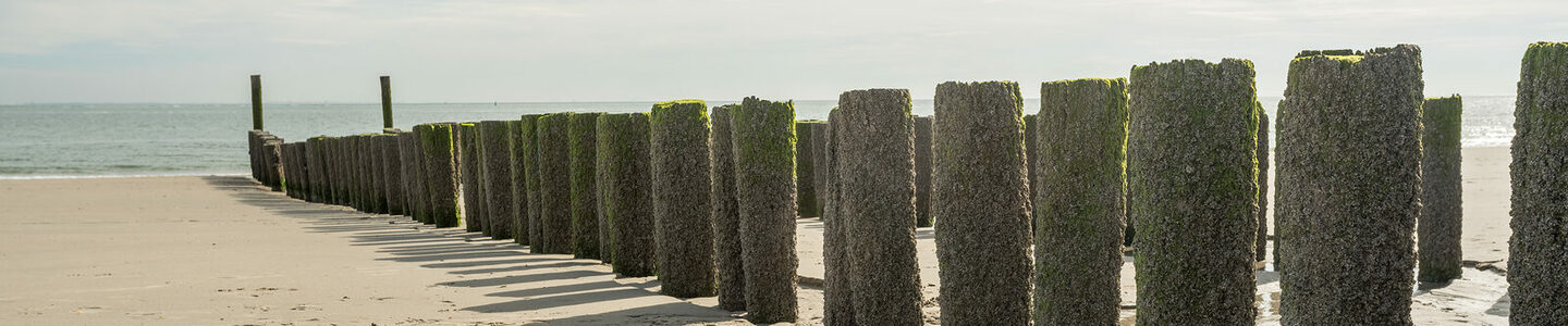 bigstock-In-Netherlands-At-Zoutelande--246703618