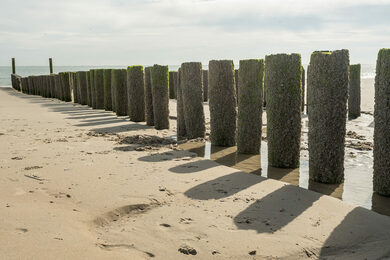 bigstock-In-Netherlands-At-Zoutelande--246703618